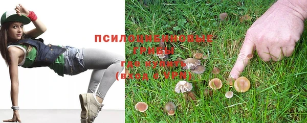 герыч Дмитровск