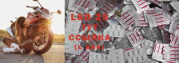 PSILOCYBIN Елабуга