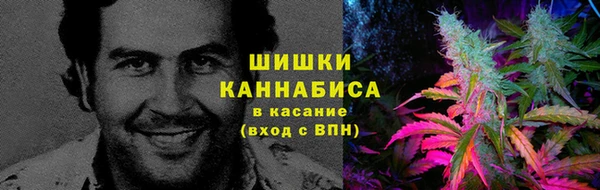 apvp Дмитриев