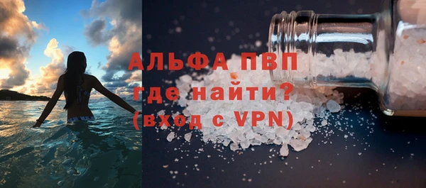 гашик Ельня