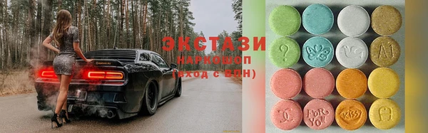 гашик Ельня