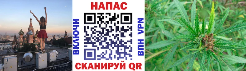 Купить  Жуковка  Каннабис тримм 